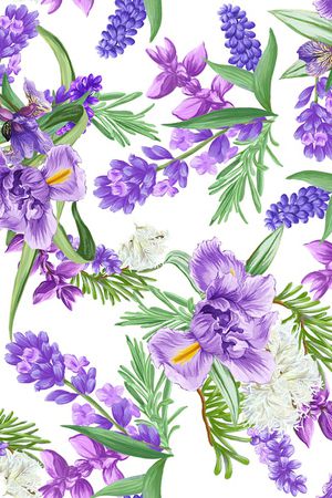 鸢尾花印花花型图片