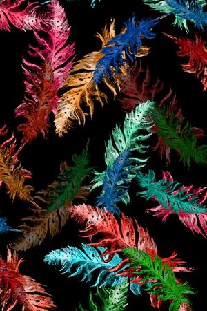 羽毛印花花型图片