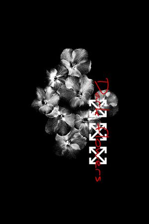 字母印花花型图片
