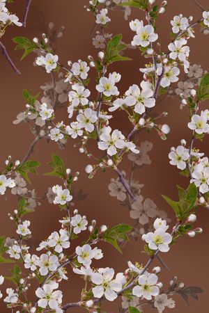 彩底花卉印花花型图片