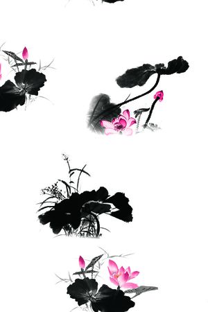 荷花印花花型图片