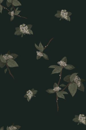 简约印花花型图片