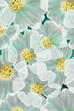 图案——服饰印花花型图片