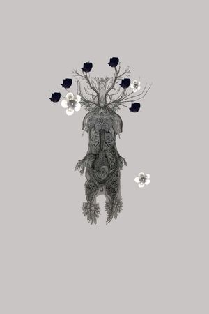 颜色印花花型图片