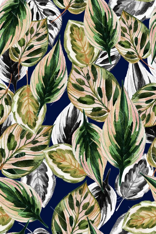 花卉印花花型图片