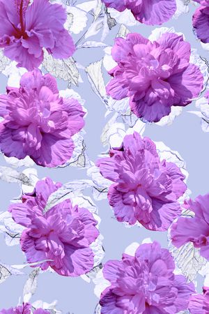 数码花型印花花型图片