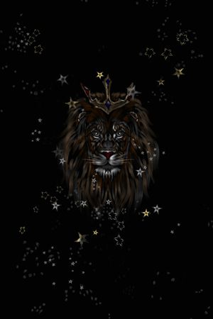 星星印花花型图片