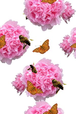 颜色印花花型图片