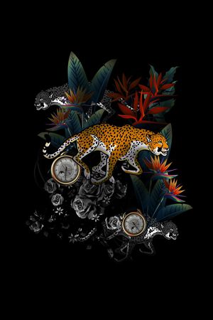 豹子印花花型图片