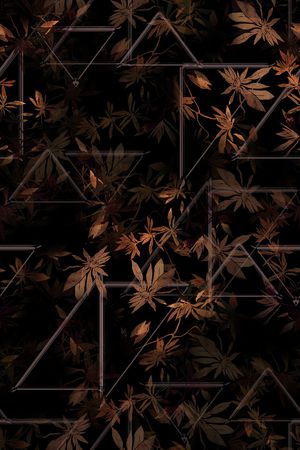 黑白花型印花花型图片