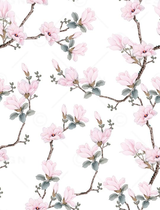 玉兰花印花花型图片