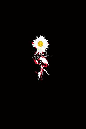 几何印花花型图片