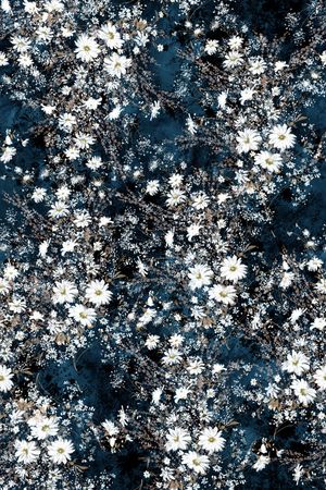 黑底花卉印花花型图片