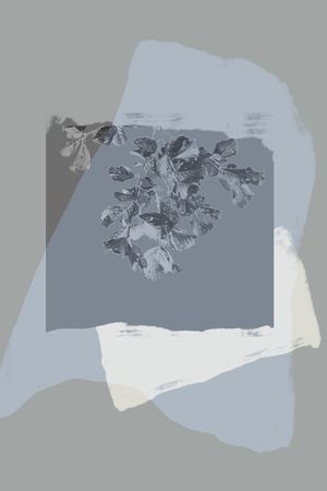 男装印花花型图片