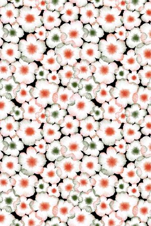 女装印花花型图片