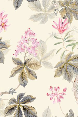 花卉印花花型图片