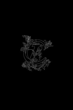 时尚印花花型图片