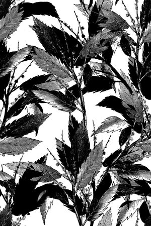 花卉印花花型图片