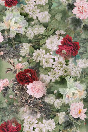 玉兰花印花花型图片