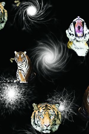 几何印花花型图片
