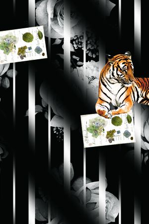 几何印花花型图片