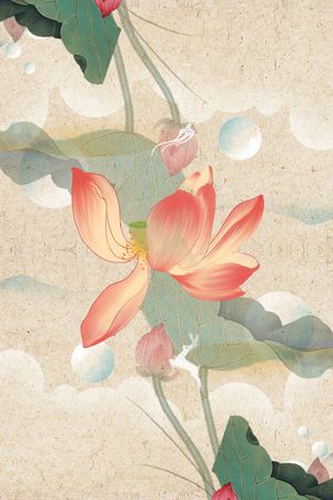 荷花印花花型图片