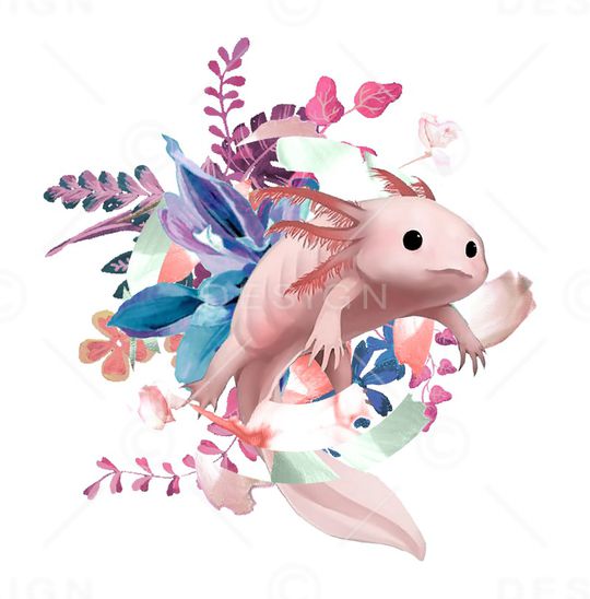 手绘印花花型图片