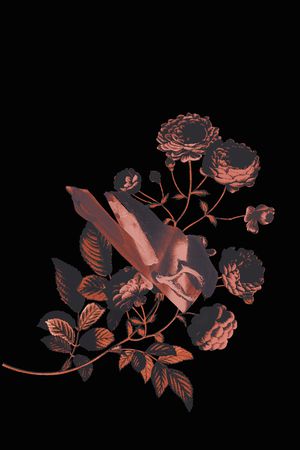 JUST CAVALLI印花花型图片
