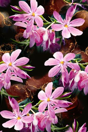 花卉印花花型图片