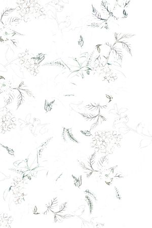 抽象花卉印花花型图片