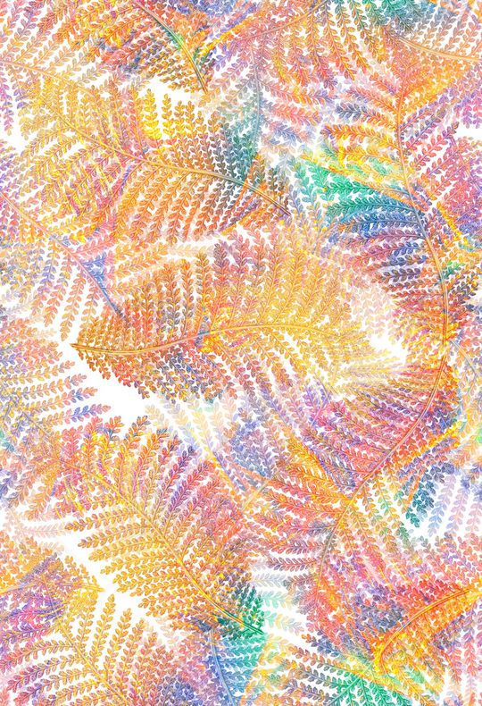 大牌风印花花型图片