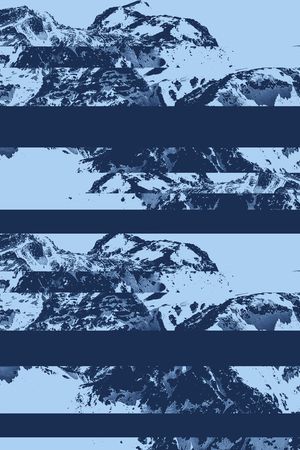 黑白花型印花花型图片