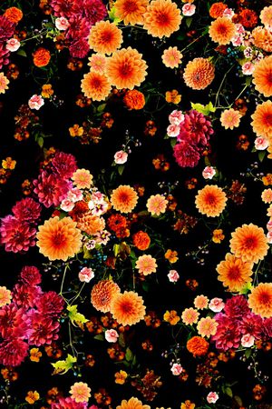 花卉印花花型图片