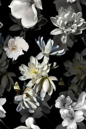 黑底花卉印花花型图片