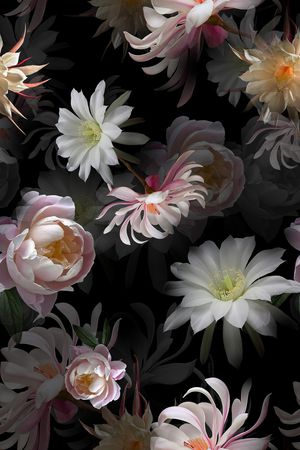 黑底花卉印花花型图片