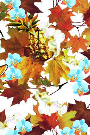 菠萝印花花型图片