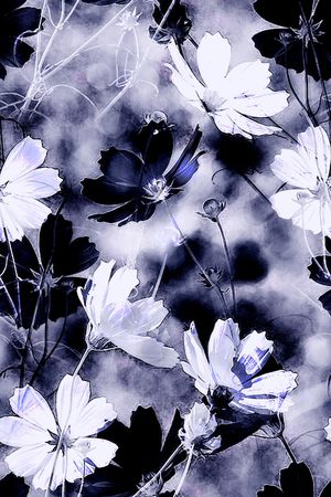 花卉印花花型图片