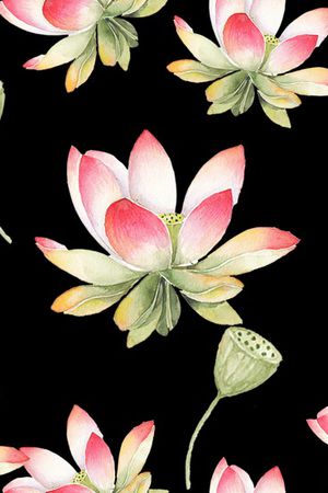 颜色印花花型图片