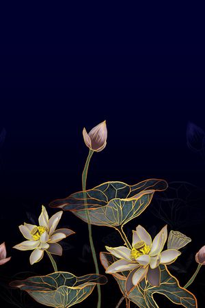 荷花印花花型图片