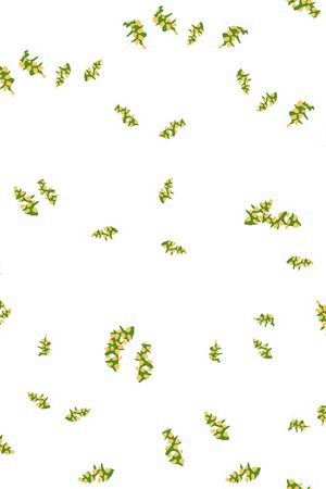 几何印花花型图片