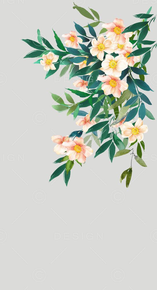 植物印花花型图片