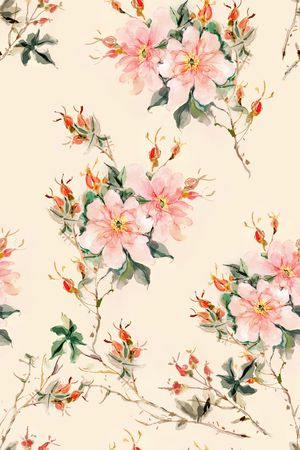 女装印花花型图片