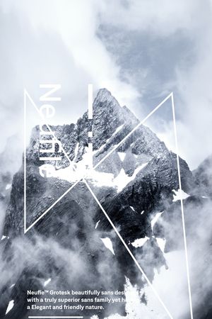 字母印花花型图片