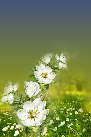 花卉印花花型图片