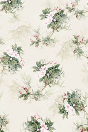 女装印花花型图片