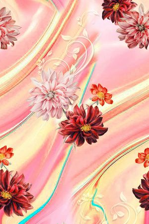 女装印花花型图片