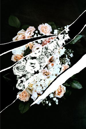 ALEXANDER McQueen印花花型图片