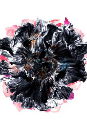ALEXANDER McQueen印花花型图片