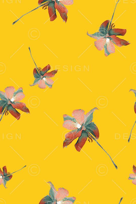 花卉印花花型图片