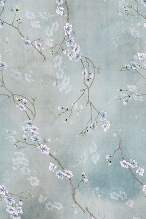 女装印花花型图片
